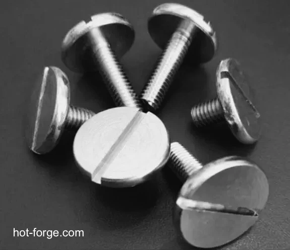 Slotted Pan Head Screws with Large Head